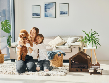 How Eco-Friendly Cleaning Protects Your Family and Pets: A Guide by SWIFFY