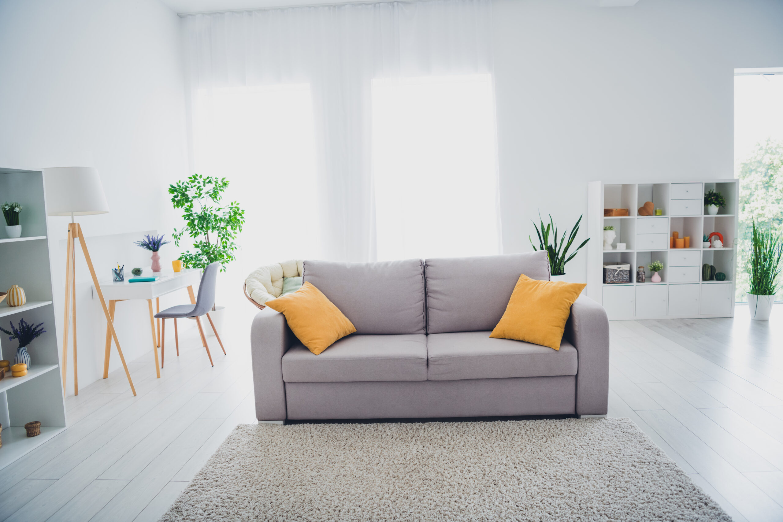 Descriptive alt text for image 3 - This image shows important visual content that enhances the user experience and provides context for the surrounding text.